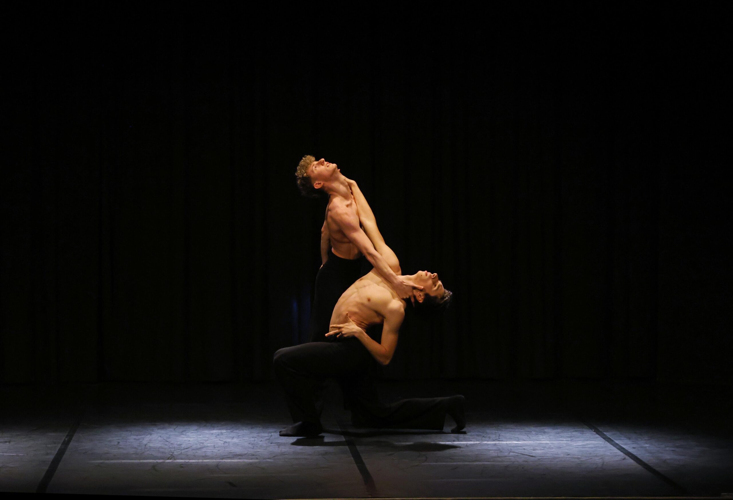 WhatWeAre CALL da Udine20.it WhatWeAre CALL per giovani autori interpreti in ambito danza contemporanea
